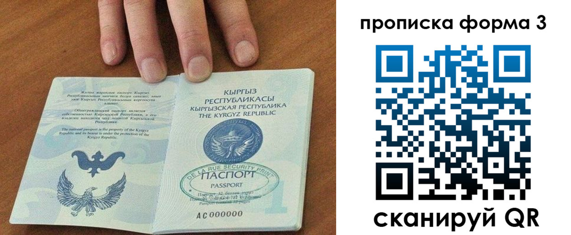прописка 2025 в Лукоянове